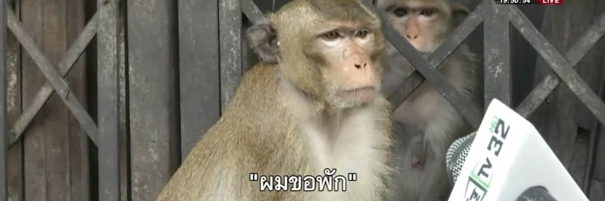 สมห่วย's banner