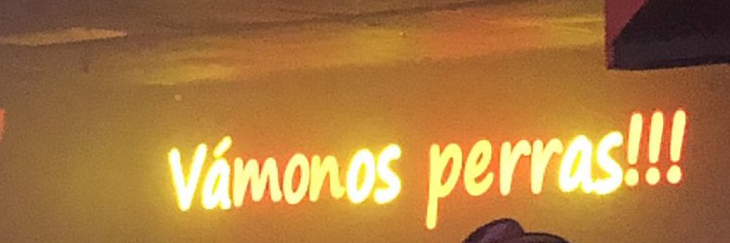 𝕾𝖙𝖊𝖛𝖊𝖓's banner