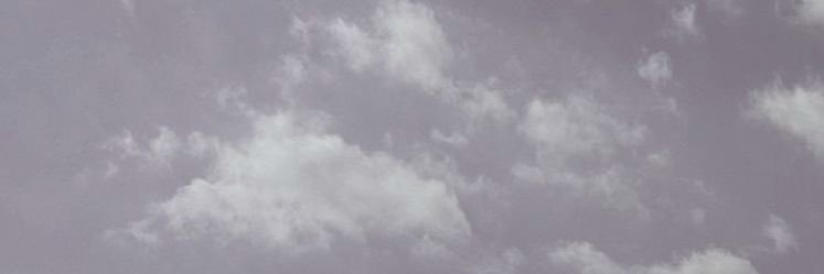 Kimy ꕤ's banner