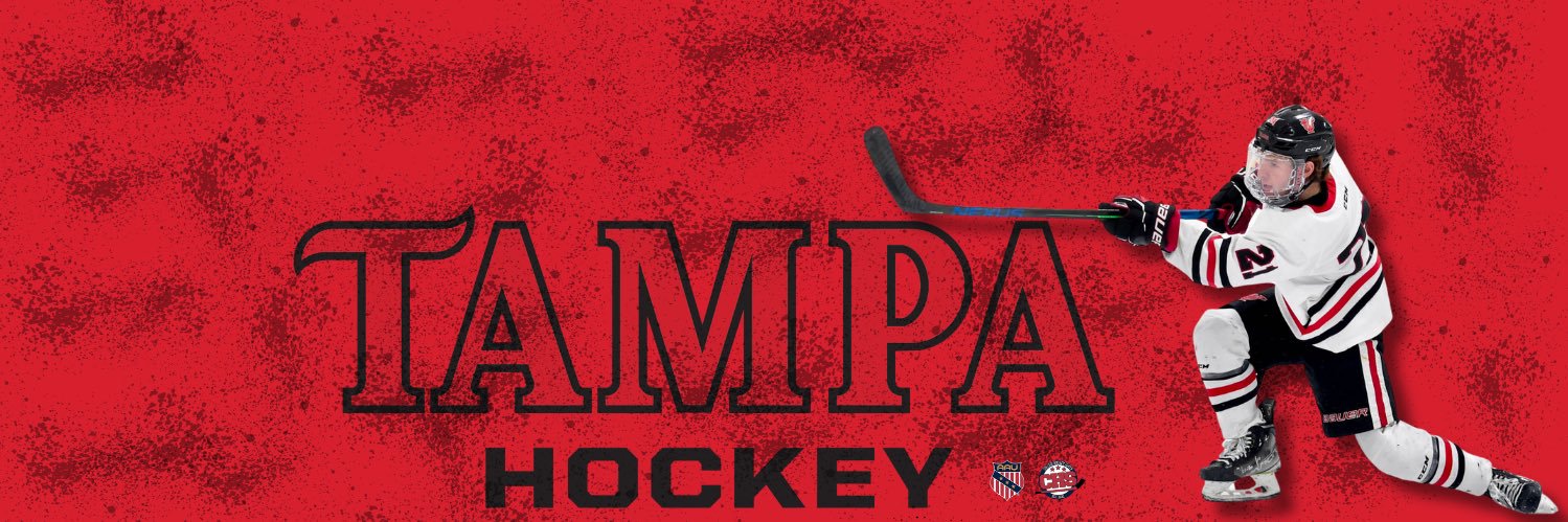 UTampa Hockey's banner