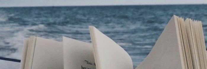 She's banner