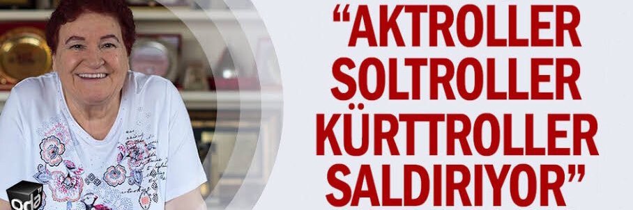 Elmacıgüzeli Satılmış Efendi's banner