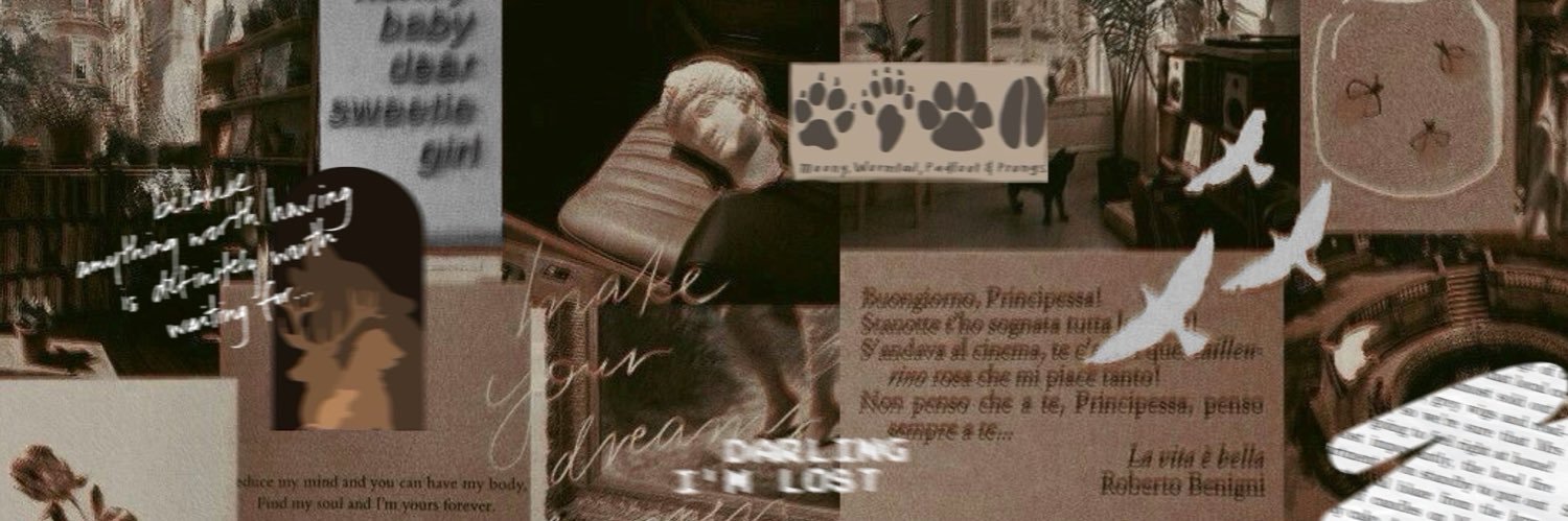 addie's banner