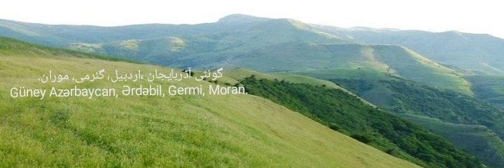 Hasan Rashidi's banner