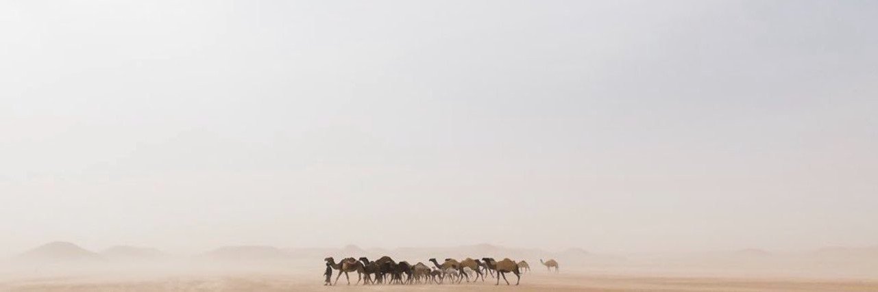 المعيه's banner