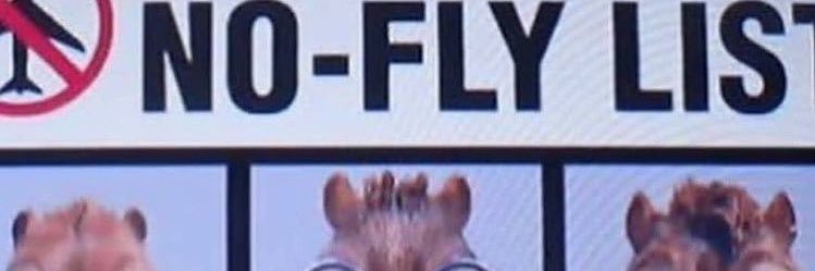 crunchy's banner