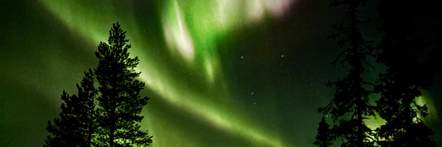 Raija's banner