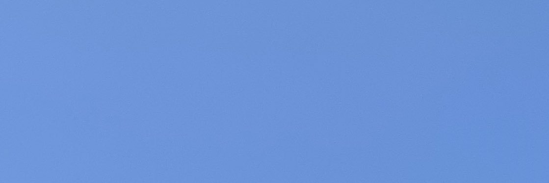 plant based's banner