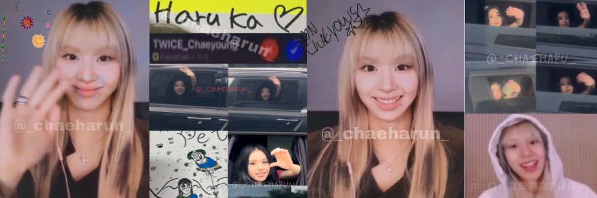 하루카0ᴥ0's banner