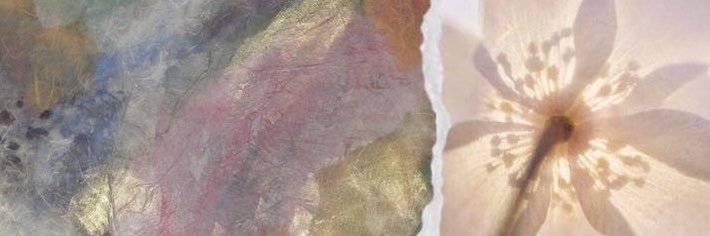 mai's banner