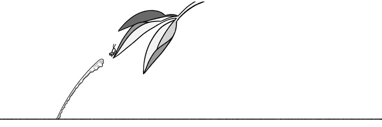 ニゴモロコ's banner