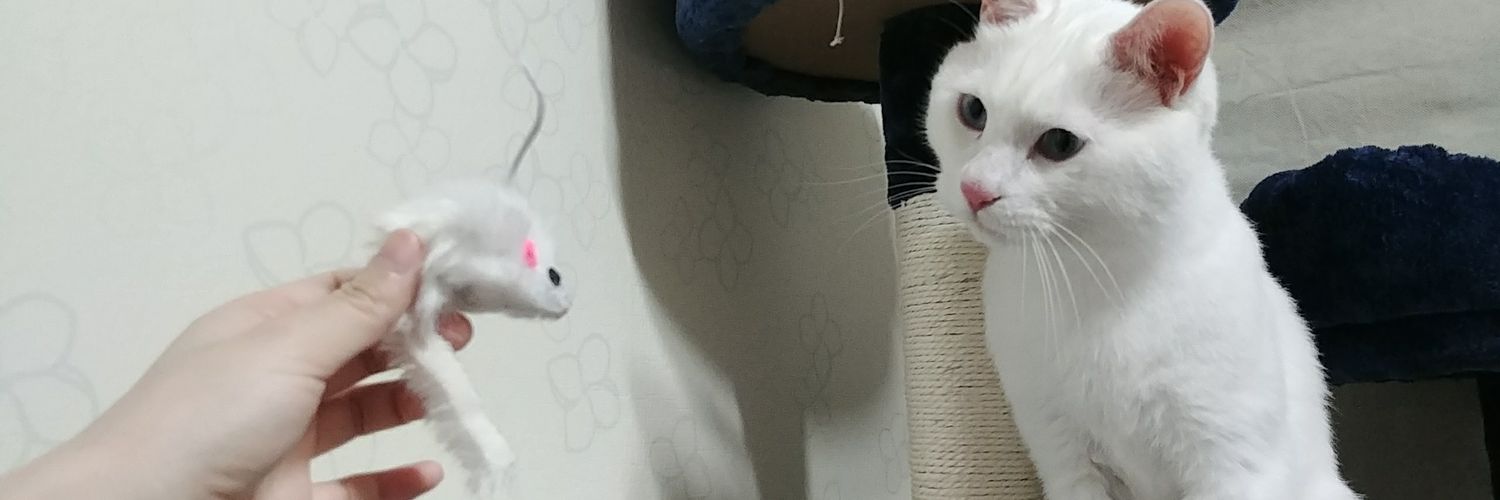 두부랑 안녕이네 집's banner