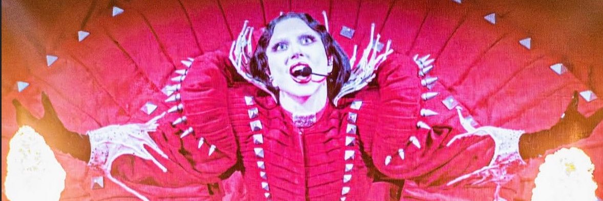Suporte Lady Gaga's banner
