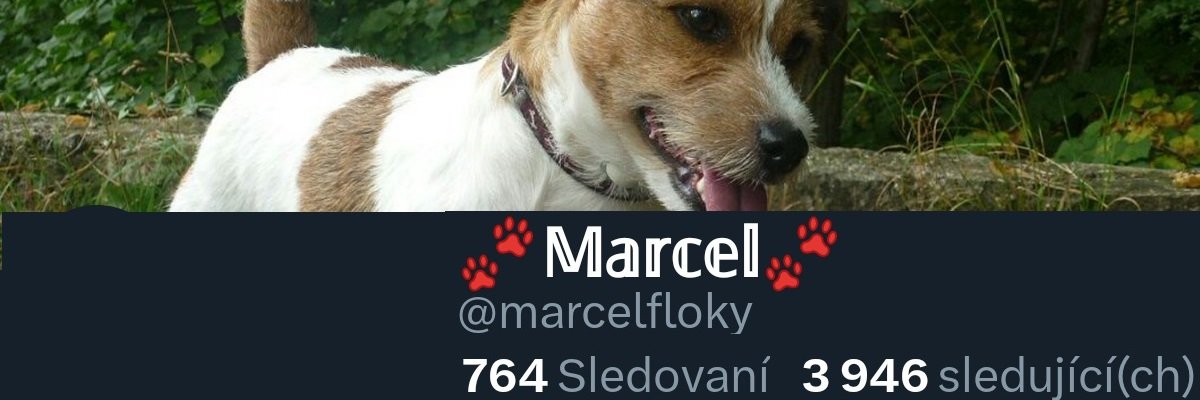 🐾 𝕄𝕒𝕣𝕔𝕖𝕝 🐾 𝕟𝕠𝕧ý 𝕡𝕣𝕠𝕗𝕚𝕝 ⚽'s banner