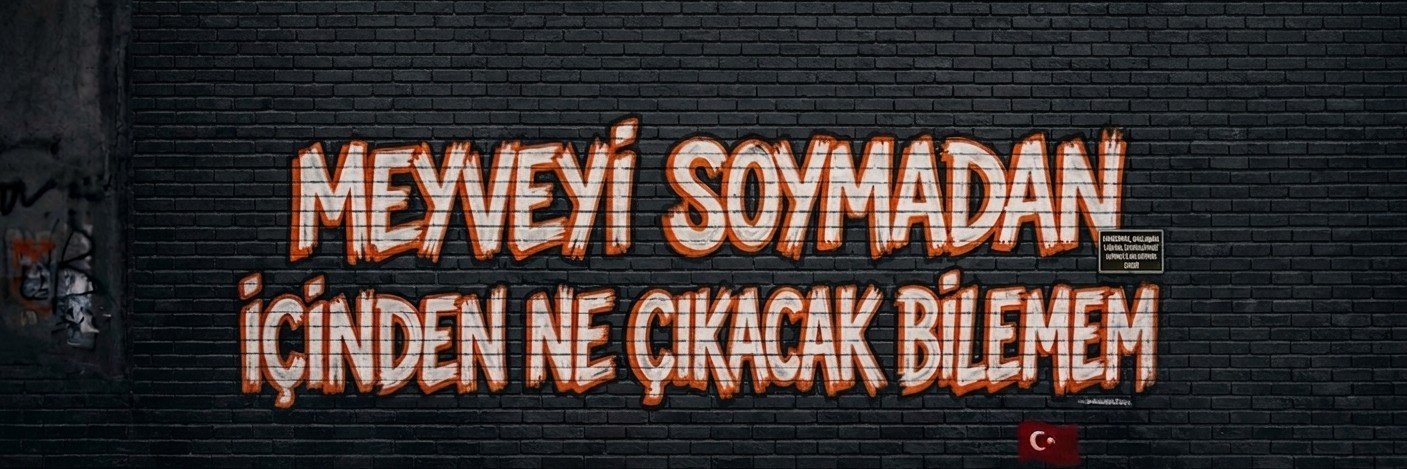 Ramiz Karayeni 🇹🇷's banner