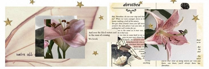 t ⁷ ⋆˚𝜗𝜚˚⋆'s banner