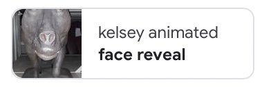 Kelsey Animated's banner