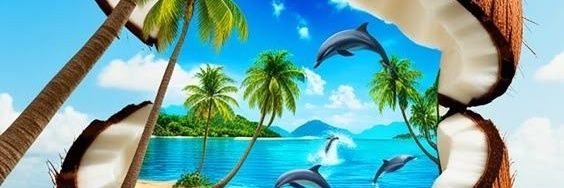 HaMmed¥§'s banner