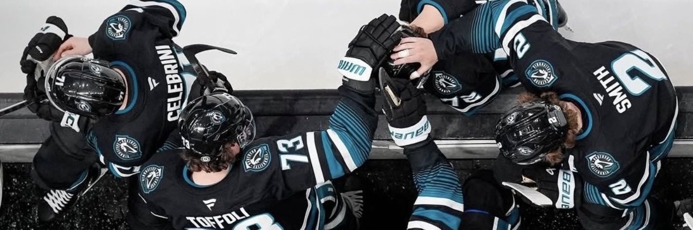 nika 🦈's banner