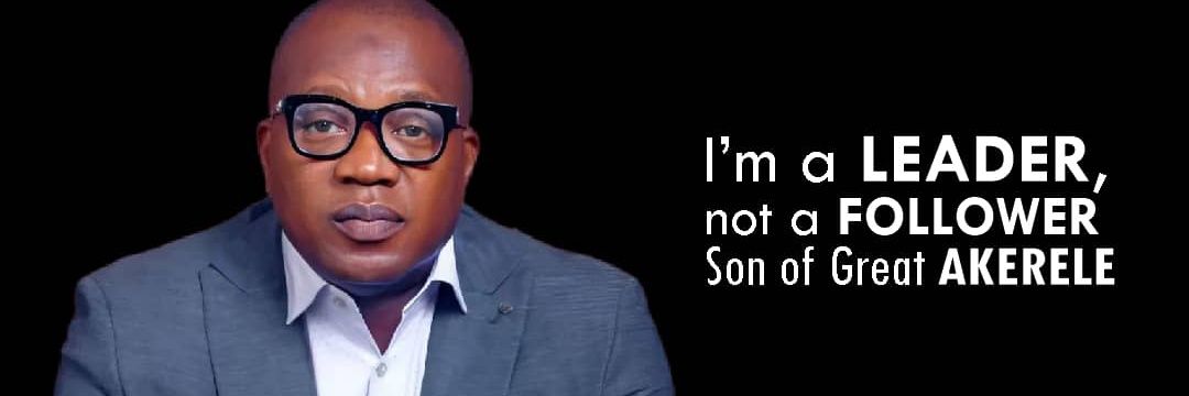 Wale S Akerele's banner