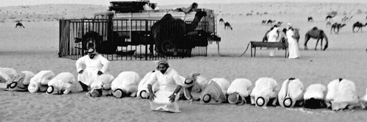 زايد's banner