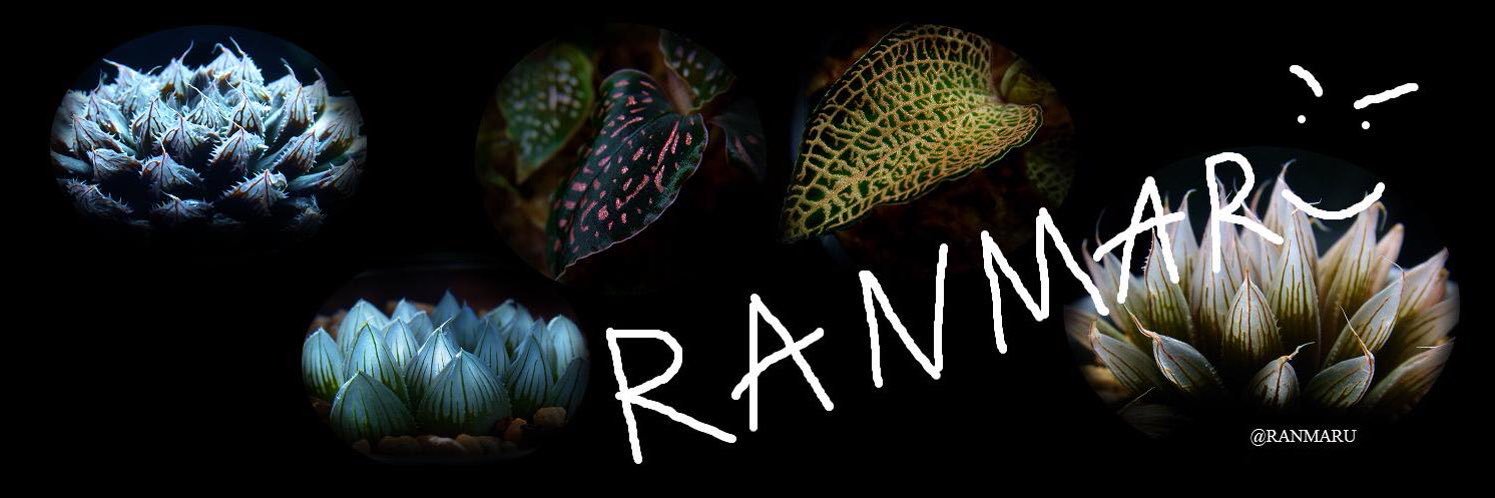 RANMARU's banner