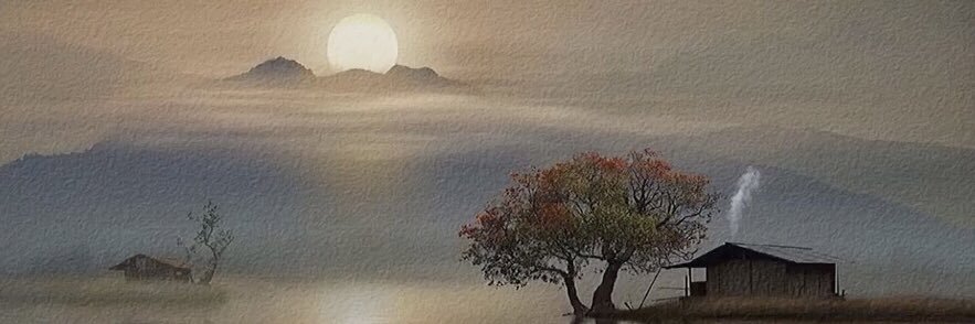 西西's banner