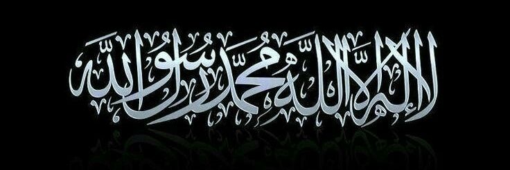 Fatmeh m's banner