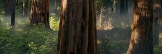 サトエダ's banner