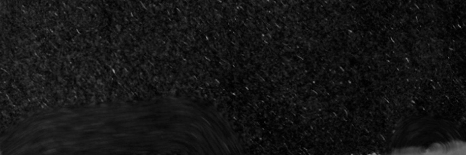 Shawn Farsai's banner