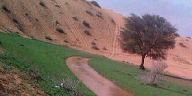طقس's banner