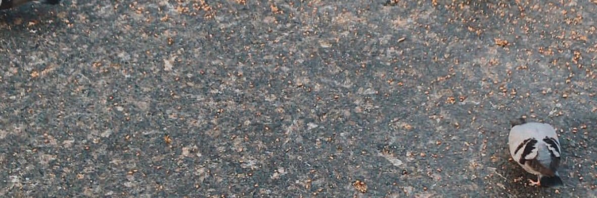 Saktia Oktapyani's banner