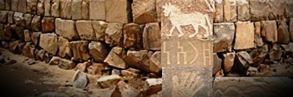 ماجد العدواني's banner