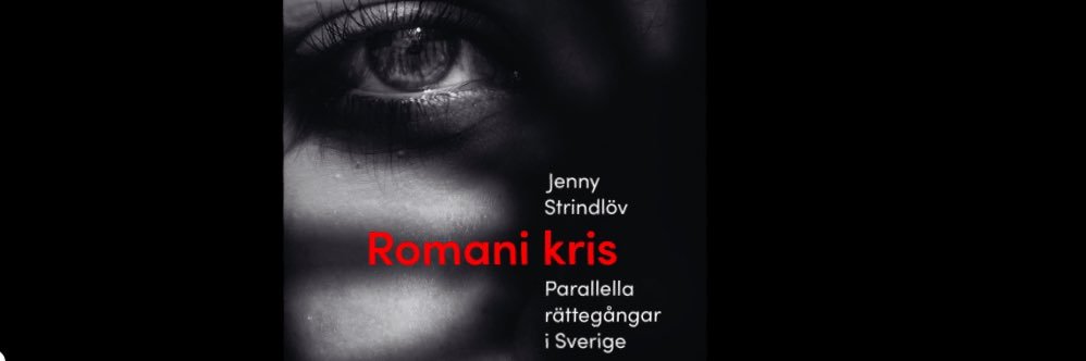 Jenny Strindlöv's banner