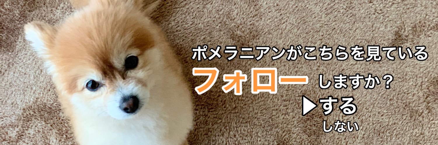 あさぽん/ポメラニアンのしもべ's banner