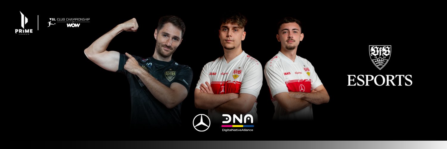 VfB eSports's banner