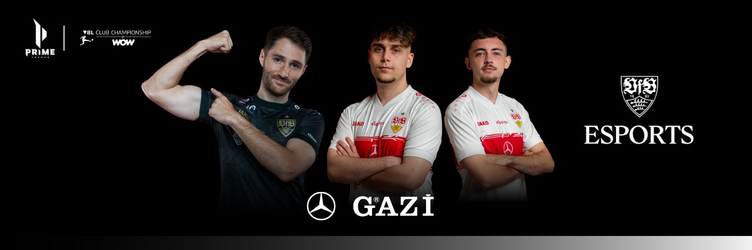 VfB eSports's banner