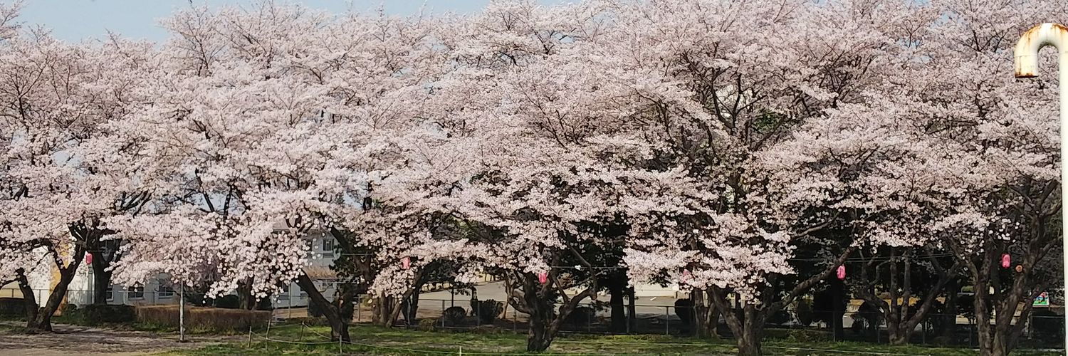 まみこ🦨's banner