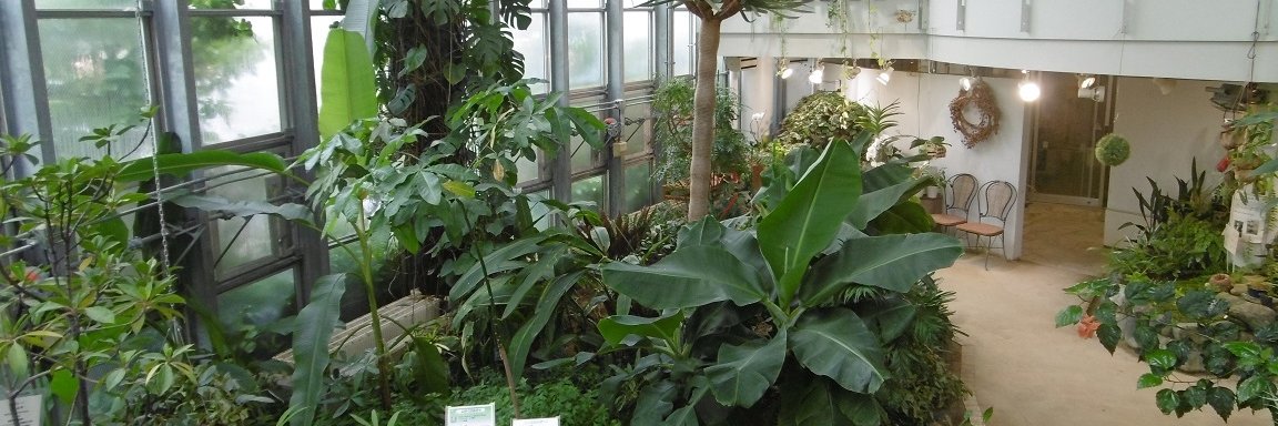 心の中の植物園　宮内元子's banner