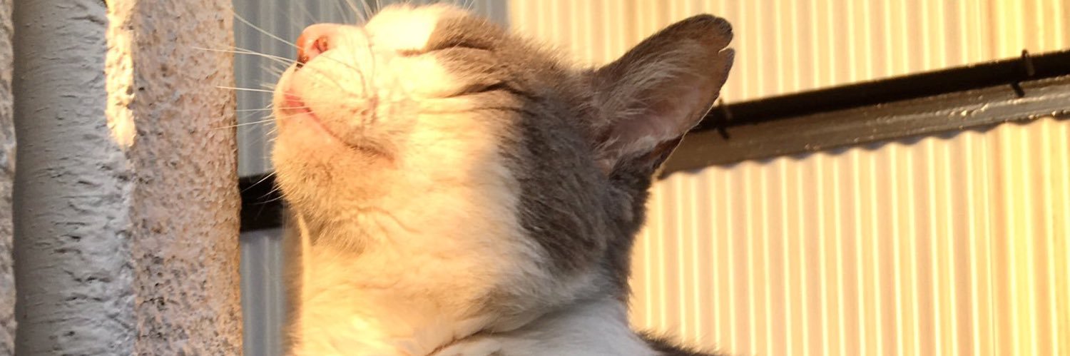 なかのひと的な2's banner