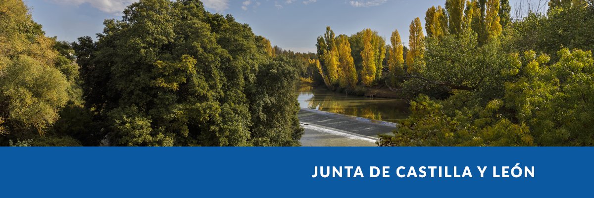 Junta de Castilla y León's banner