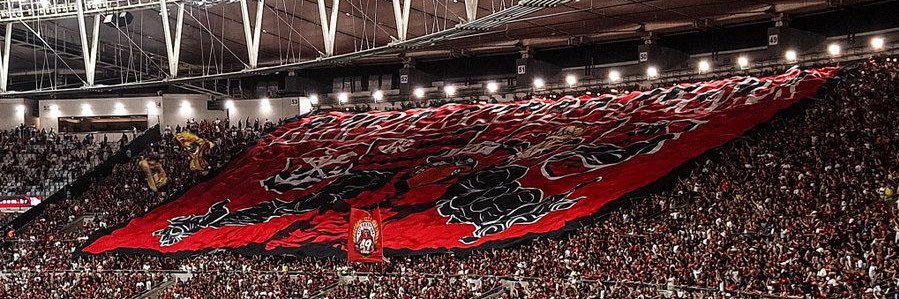 PATO ROCO's banner
