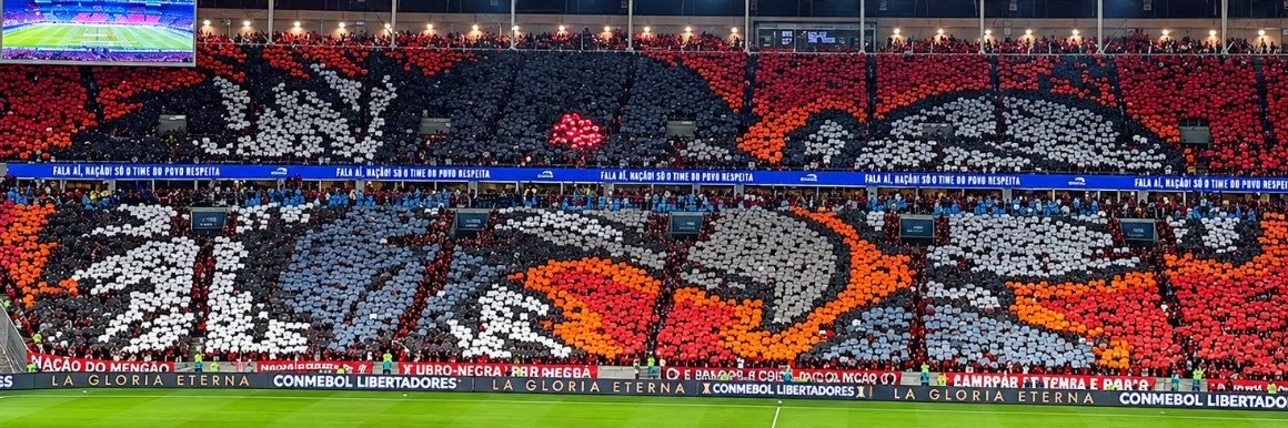 PATO ROCO's banner