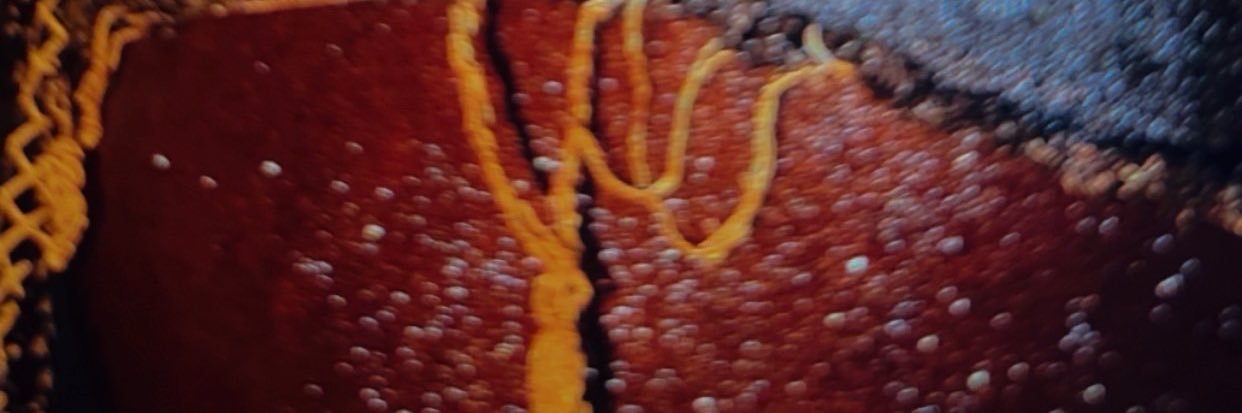 JaiynaAaliyana's banner