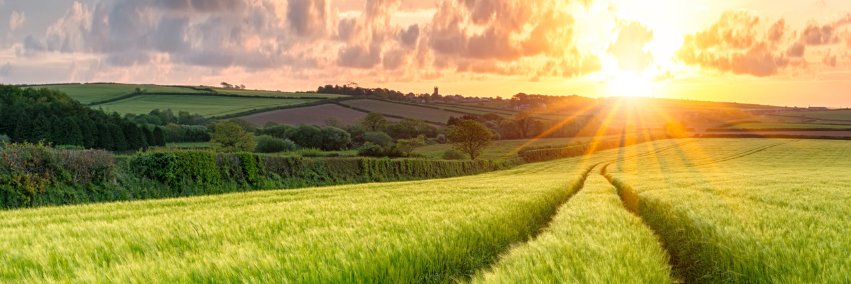 AHDB's banner