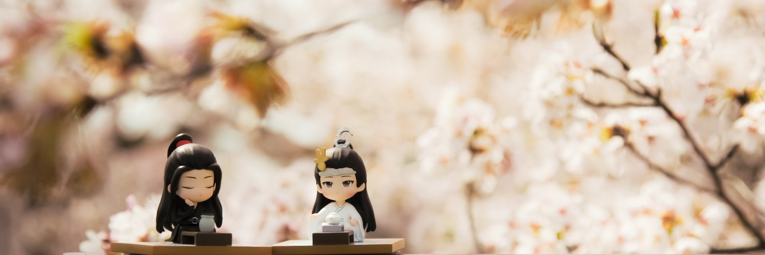 せなか's banner