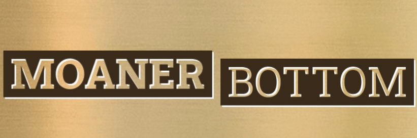 ⚜️🧝‍♀️Kurt Vennetelli🧝‍♂️⚜️'s banner