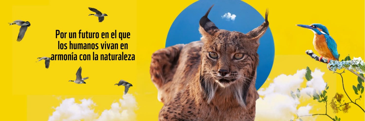 WWF España 🐼's banner