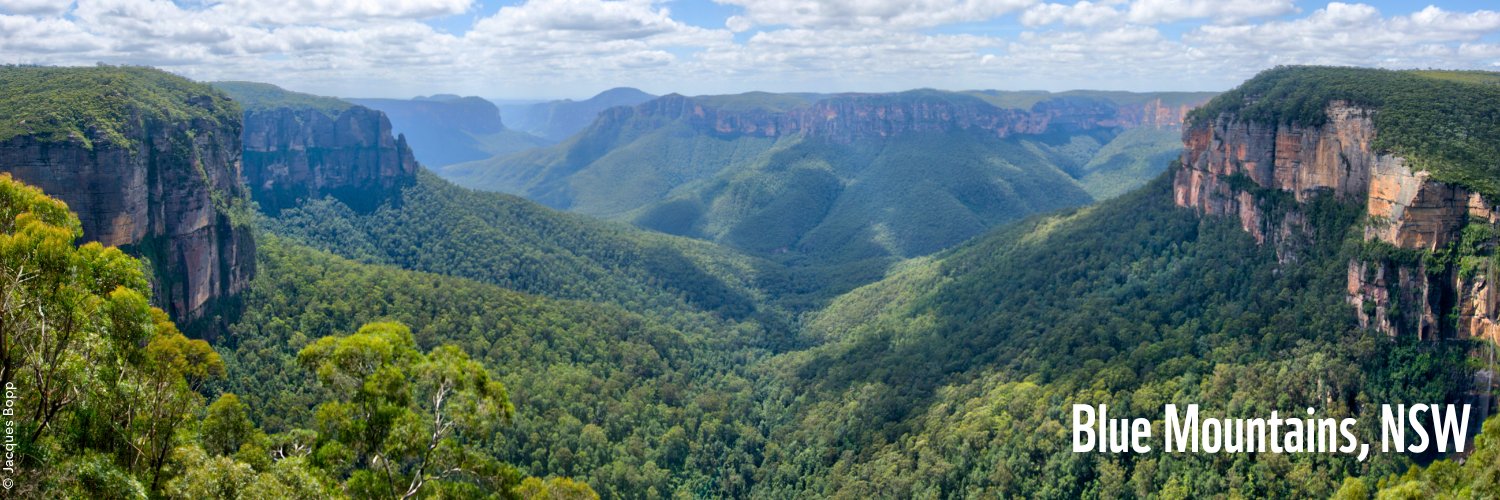 WWF_Australia's banner