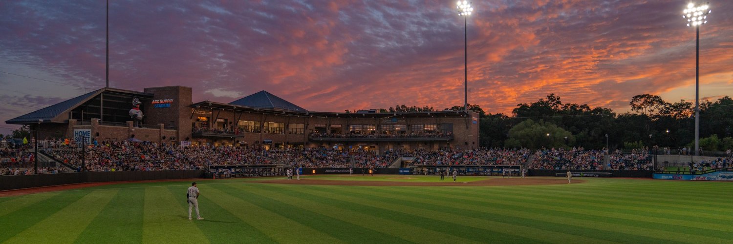 Beloit Sky Carp's banner